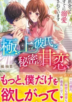 極上彼氏と秘密の甘恋～出会ってすぐに溺愛されています～
