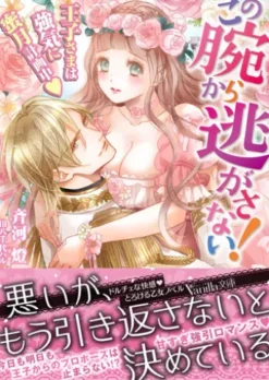 この腕から逃がさない！～王子さまは強気に蜜月計画中～