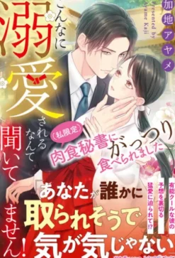 こんなに溺愛されるなんて聞いてません！ （私限定）肉食秘書にがっつり食べられました