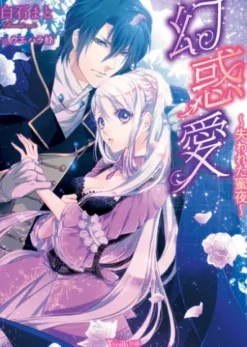 幻惑愛～失われた蜜夜～