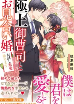 極上御曹司とお見合い婚～お試し恋愛始めます～