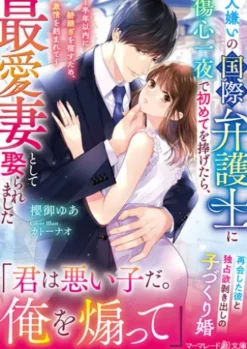 人嫌いの国際弁護士に傷心一夜で初めてを捧げたら、最愛妻として娶られました～半年以内に跡継ぎを宿すため、激情を刻まれて～