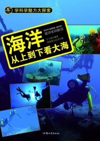 海洋:从上到下看大海