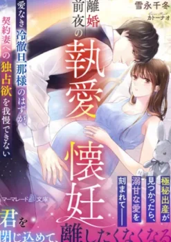 離婚前夜の執愛懐妊～愛なき冷徹旦那様のはずが、契約妻への独占欲を我慢できない～