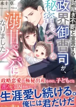 跡継ぎ不要と宣言する政界御曹司が、秘密のベビーの溺甘パパになりました