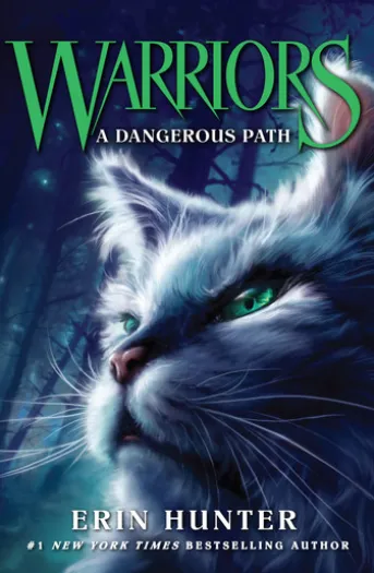 A Dangerous Path