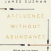 Affluence Without Abundance