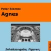 Agnes (Peter Stamm) - Lektürehilfe und Interpretationshilfe. Interpretationen und Vorbereitungen für den Deutschunterricht.