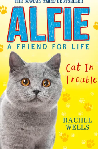 Alfie Cat In Trouble
