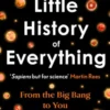 A Little History of Everything