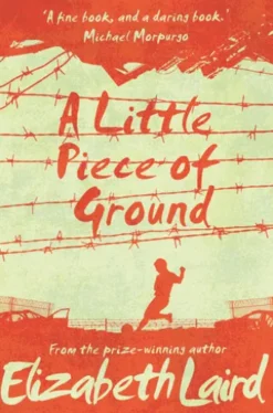 A Little Piece of Ground