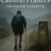 Alleen op de Camino Francés.