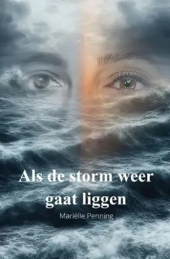 Als de storm weer gaat liggen