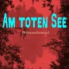 Am toten See (Kriminalroman)