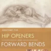 Anatomy for Hip Openers and Forward Bends