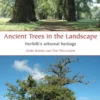 Ancient Trees in the Landscape