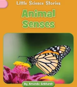 Animal Senses