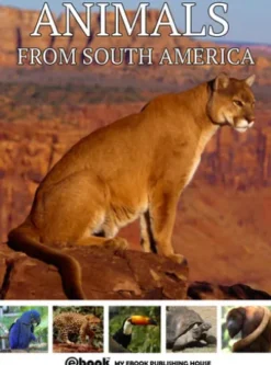 Animals from South America