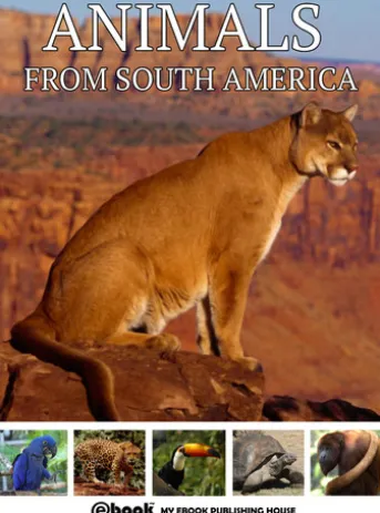 Animals from South America
