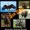 Animals of North America For Kids - Amazing Animal Books for Young Readers