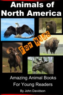 Animals of North America For Kids - Amazing Animal Books for Young Readers