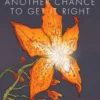 Another Chance to Get It Right (2016 Edition)