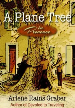 A Plane Tree in Provence