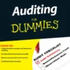 Auditing For Dummies