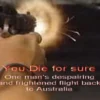 Bangkok Busted: You Die for Sure