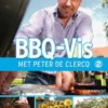 BBQ - Vis