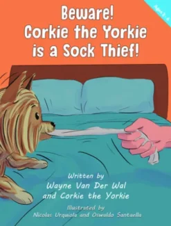 Beware! Corkie the Yorkie is a Sock Thief!