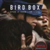 Bird Box