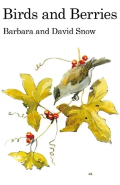 Birds and Berries