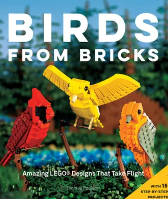 Birds from Bricks
