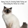 Birman Cats - The Owner's Guide from Kitten to Old Age - Buying, Caring For, Grooming, Health, Training, and Understanding Your Birman Cat or Kitten