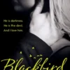 Blackbird