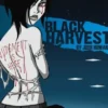 Black Harvest