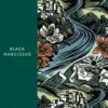 Black Narcissus