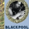 Blackpool Cove