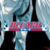 Bleach, Vol. 13