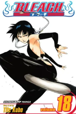 Bleach, Vol. 18