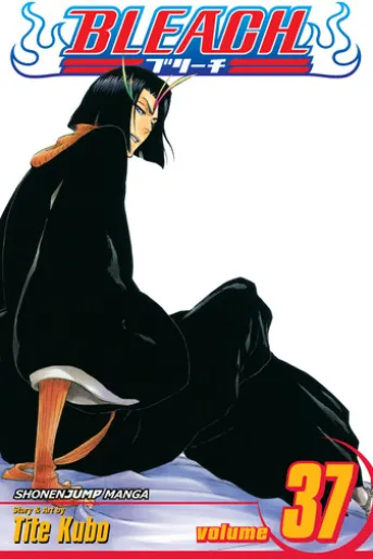 Bleach, Vol. 37