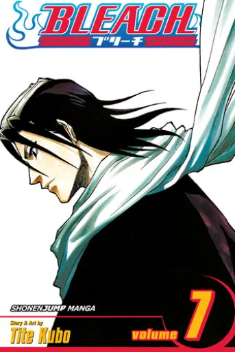 Bleach, Vol. 7
