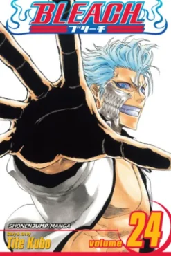 Bleach, Vol. 24
