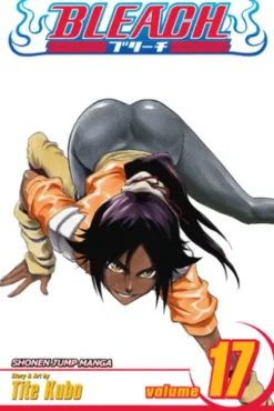 Bleach, Vol. 17