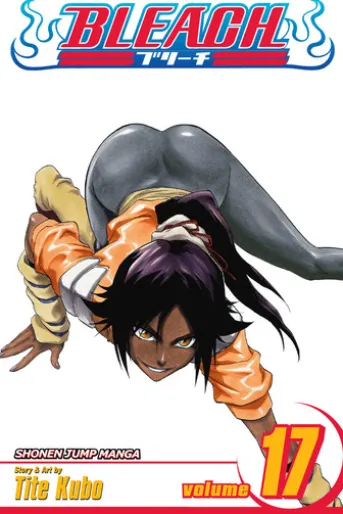 Bleach, Vol. 17