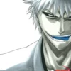 Bleach, Vol. 25