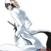 Bleach, Vol. 22