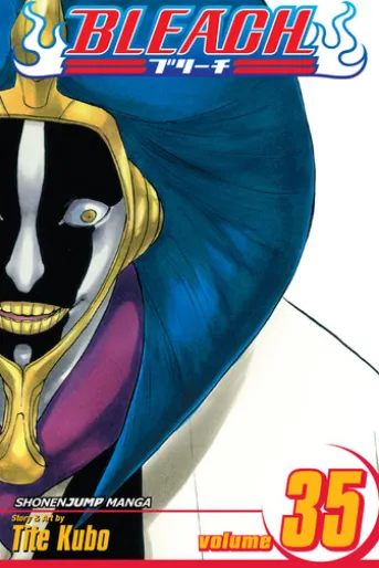 Bleach, Vol. 35