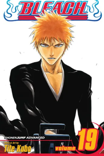 Bleach, Vol. 19